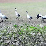 Perfect View Ii - Idealny Widok Na Marine Lejlighed *