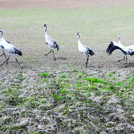 Perfect View Ii - Idealny Widok Na Marine 아파트 *